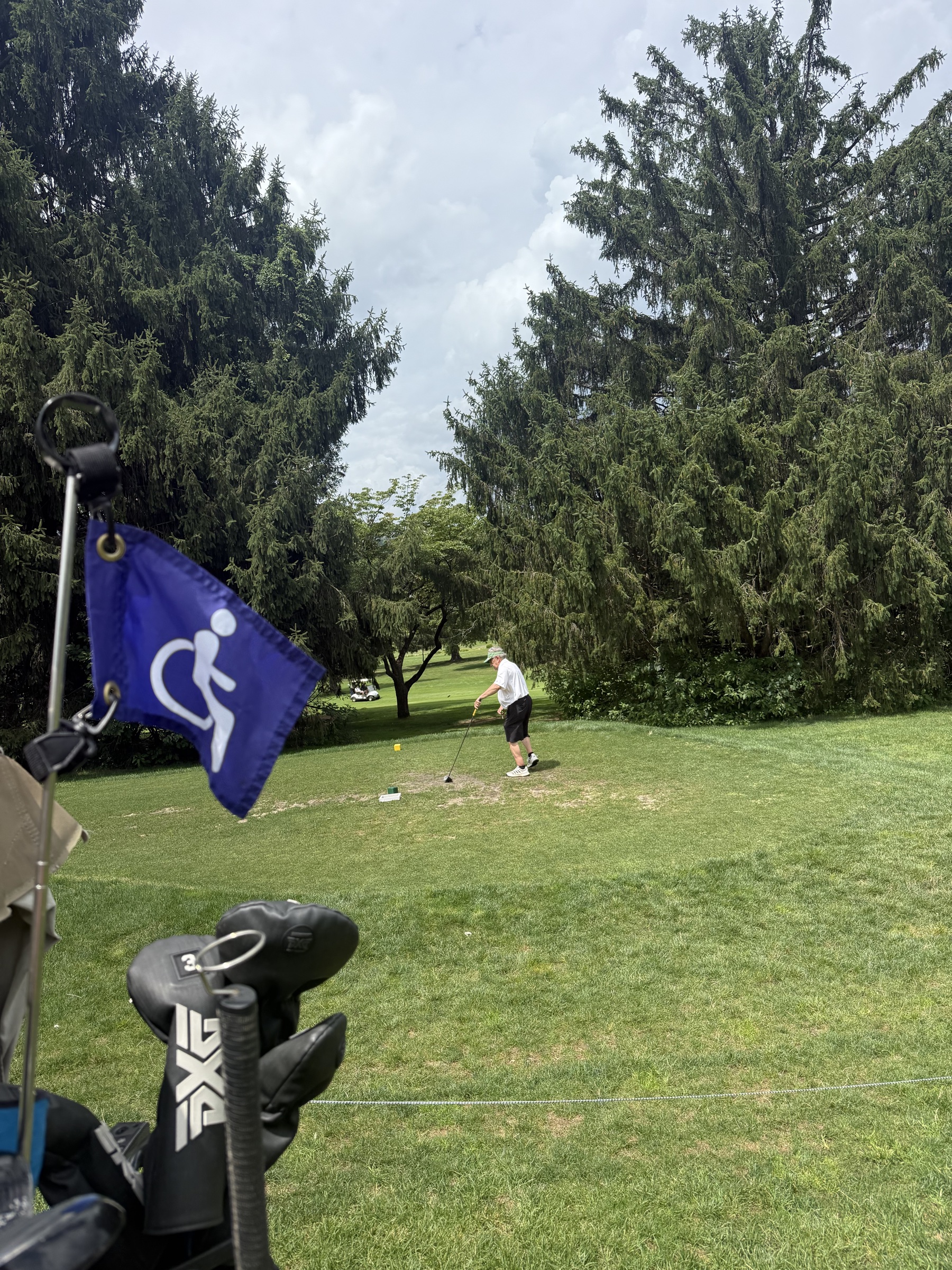 Flagstick